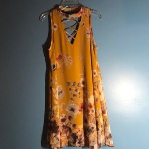 Francesca’s Blue Rain dress